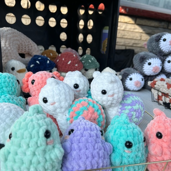 MORGAN AND MAPLE ARE GOING LIVE - Picture 3 of 6